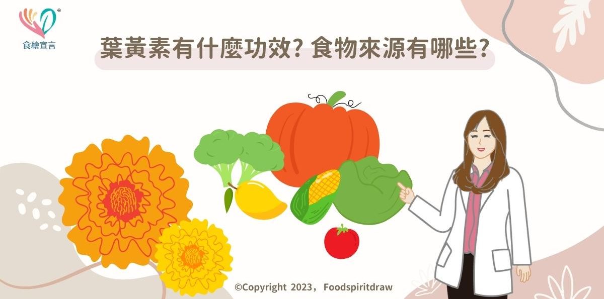 【2026年更新】葉黃素除了對眼睛有好處，還有什麼功效?富含葉黃素的食物來源有哪些?