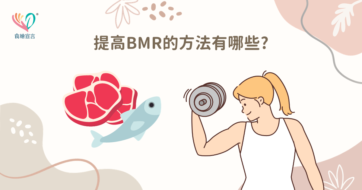 基礎代謝率是什麼?如何計算公式?男女的正常值為多少?能提高BMR的運動及食物有哪些?